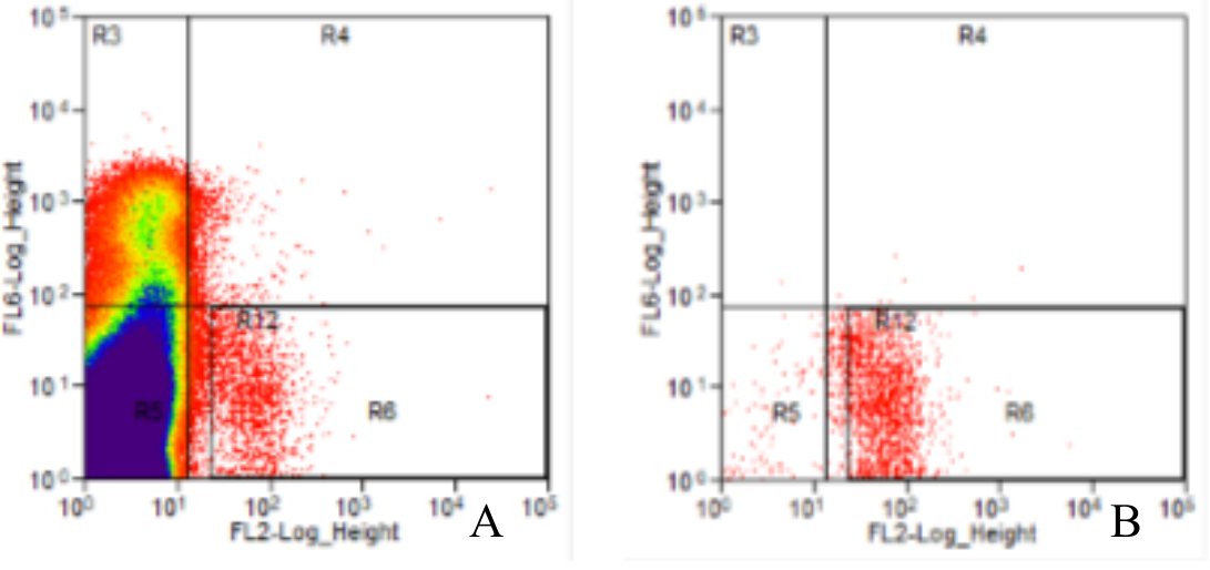 High-speed FACS sort of CD117-positive canine mast cell progenitors, all events and post-sort